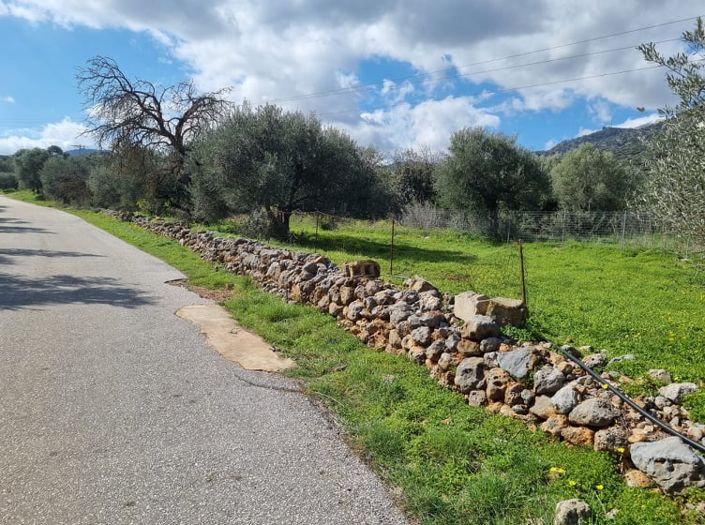 Image No.4-Terrain à vendre à Agios Nikolaos