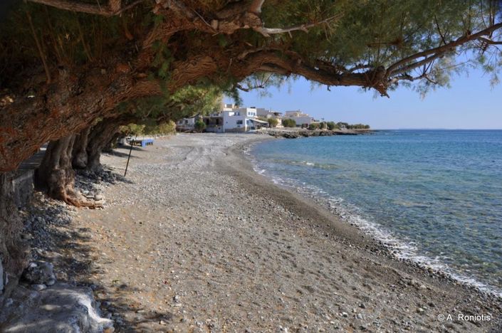 Image No.5-Plot for sale