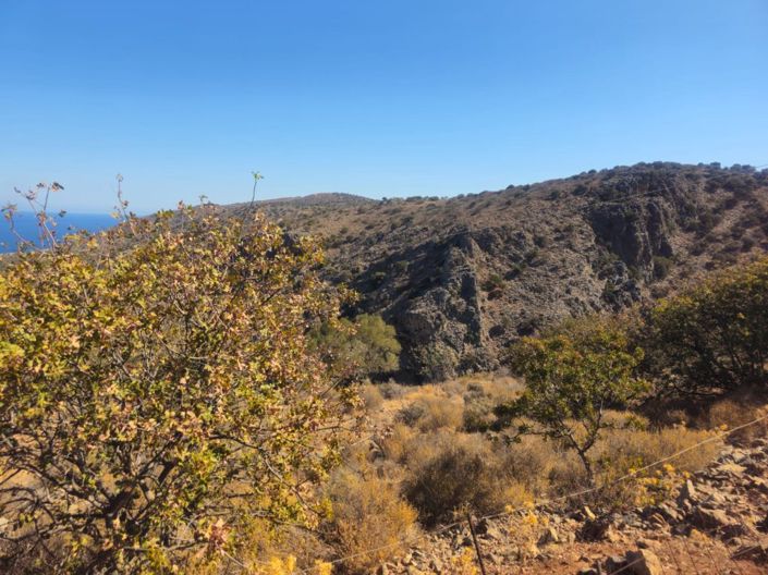 Image No.13-Land for sale