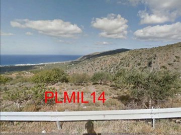 PLMIL14