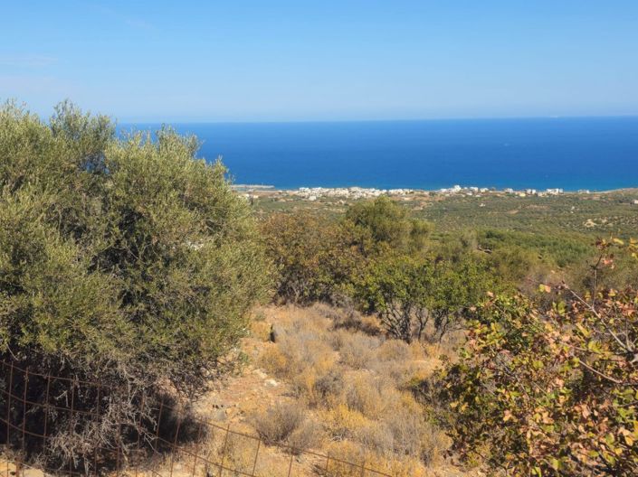 Image No.7-Land for sale