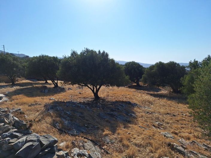 Image No.12-Terrain à vendre à Elounda
