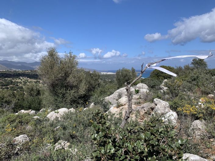 Image No.7-Land for sale