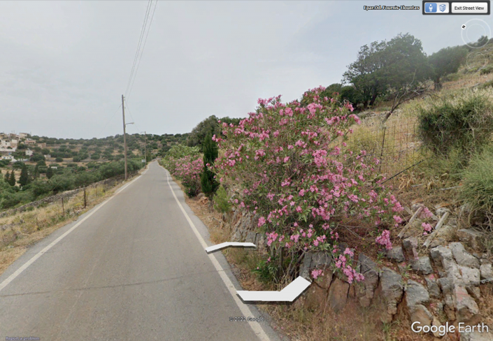 Image No.3-Plot for sale