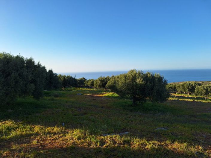 Image No.1-Plot for sale