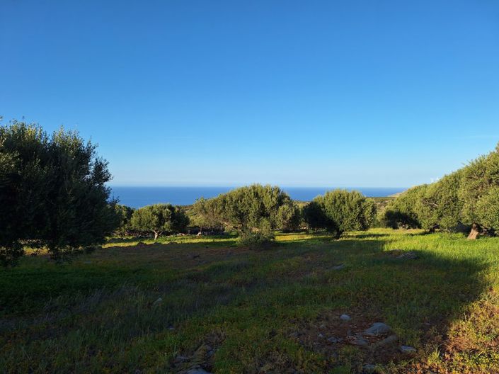 Image No.2-Terrain à vendre à Elounda