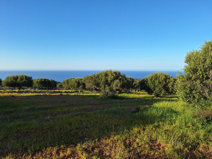 Image No.3-Terrain à vendre à Elounda