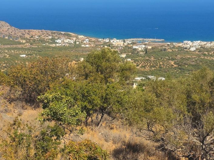 Image No.8-Terre à vendre à Agios Nikolaos