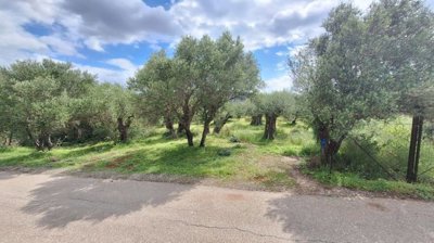 pllac41-photo-1-1024x576