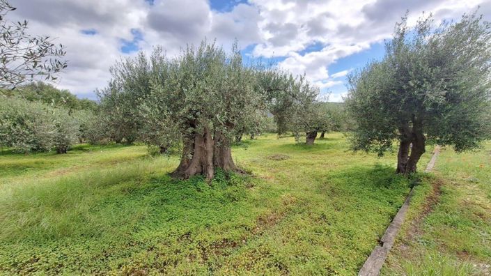 Image No.4-Terrain à vendre à Agios Nikolaos