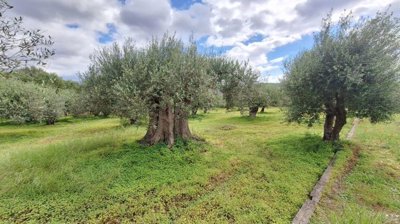 pllac41-photo-3-1024x576