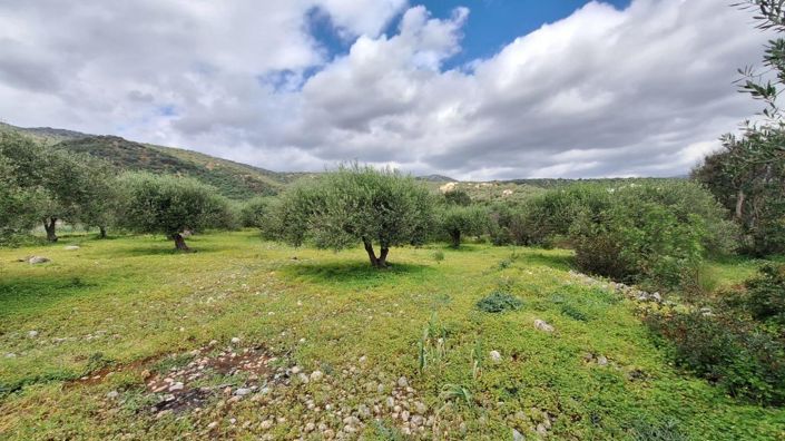 Image No.8-Terrain à vendre à Agios Nikolaos