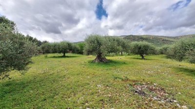 pllac41-photo-6-1024x576