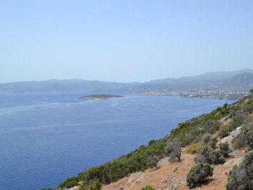 PLEL18 - view from the plot (Agios Nikolaos)