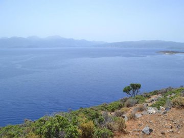 PLEL18 - view from the plot