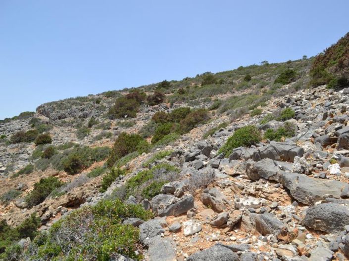 Image No.22-Terrain à vendre à Elounda