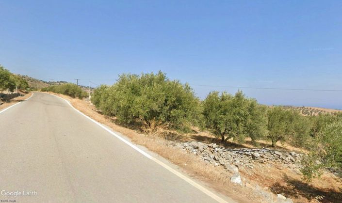 Image No.2-Plot for sale