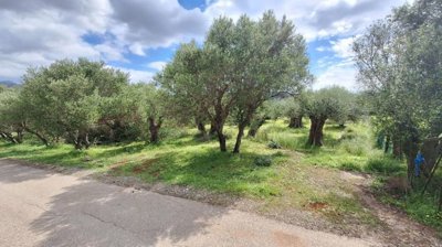 pllac41-photo-2-1024x576