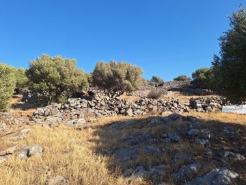 plloum10-photo-2-1024x768