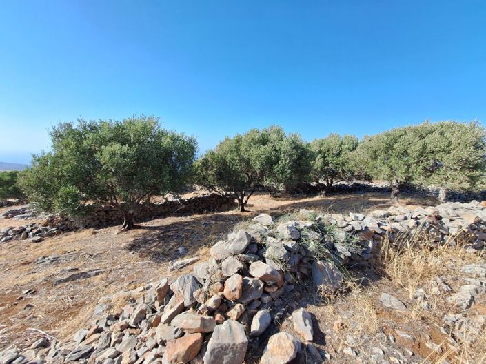 Image No.13-Terrain à vendre à Elounda