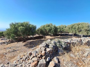 plloum10-photo-13-1024x768