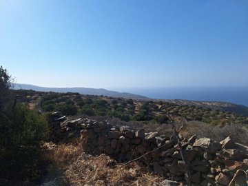 plloum10-photo-3-1024x768