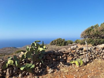 plloum10-photo-4-1024x768