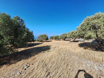 plloum10-photo-9-1024x768