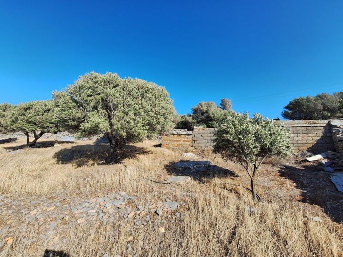 Image No.10-Terrain à vendre à Elounda