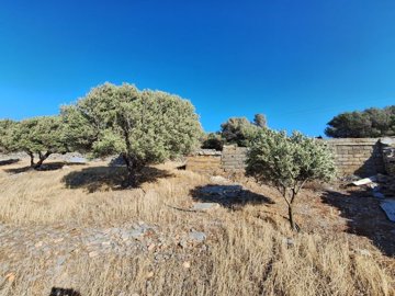 plloum10-photo-8-1024x768