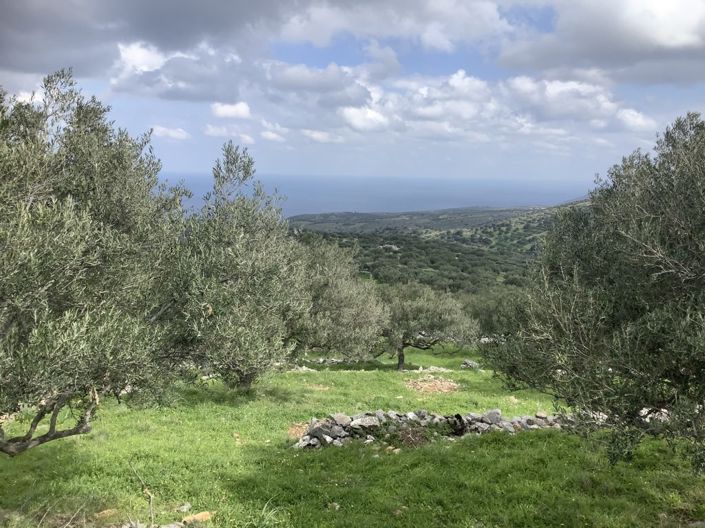 Image No.1-Land for sale