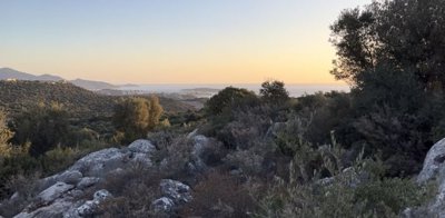 plmar9-photo-1-1024x505