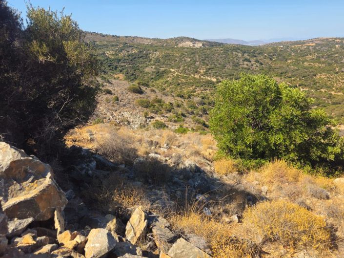 Image No.8-Land for sale