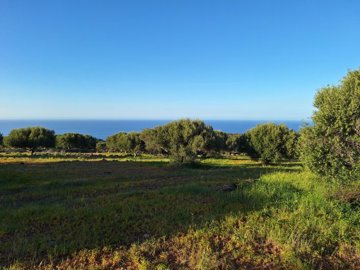 plsel10-photo-1-1024x768