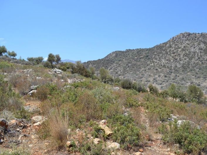 Image No.14-Plot for sale