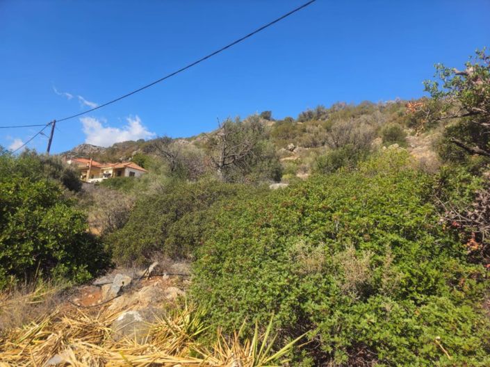 Image No.11-Plot for sale