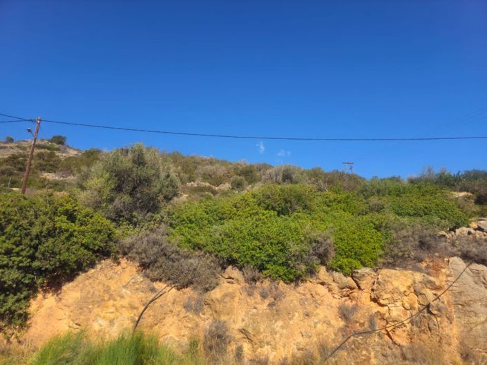 Image No.3-Plot for sale