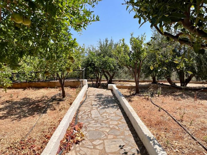 Image No.26-3 Bed House for sale