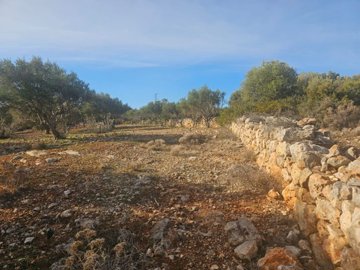 plag175-photo-2-1024x768