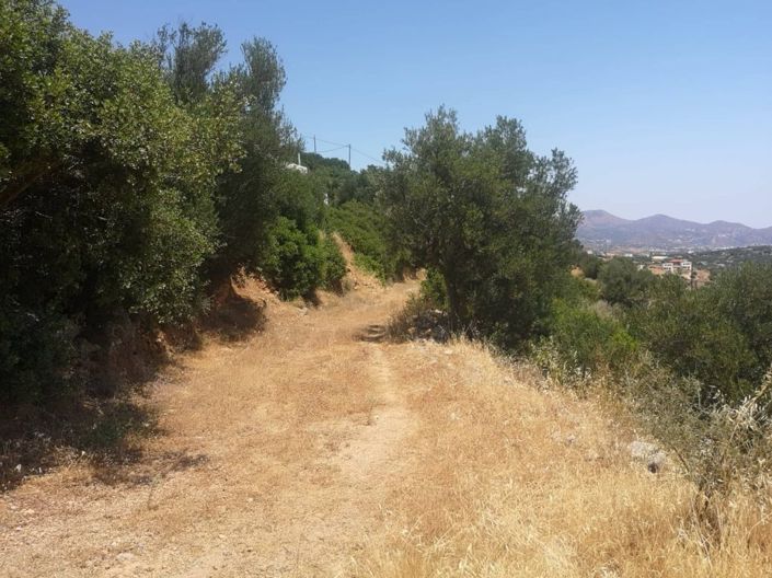 Image No.8-Plot for sale