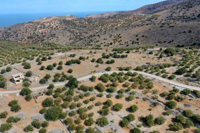 plkoun14-photo-1-1024x682