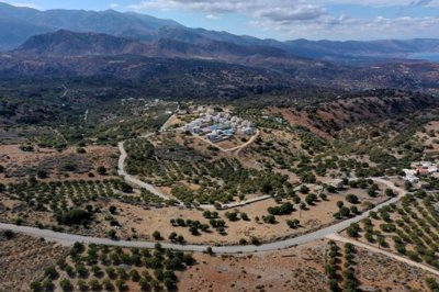 plkoun14-photo-5-1024x682