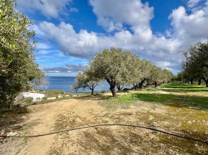 Image No.3-Plot for sale