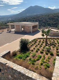 img-20250214-wa0003-768x1024