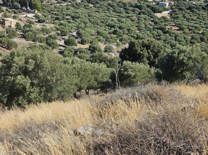 Image No.5-Terrain à vendre à Elounda