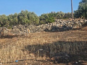 plsel13-photo-13-1024x768