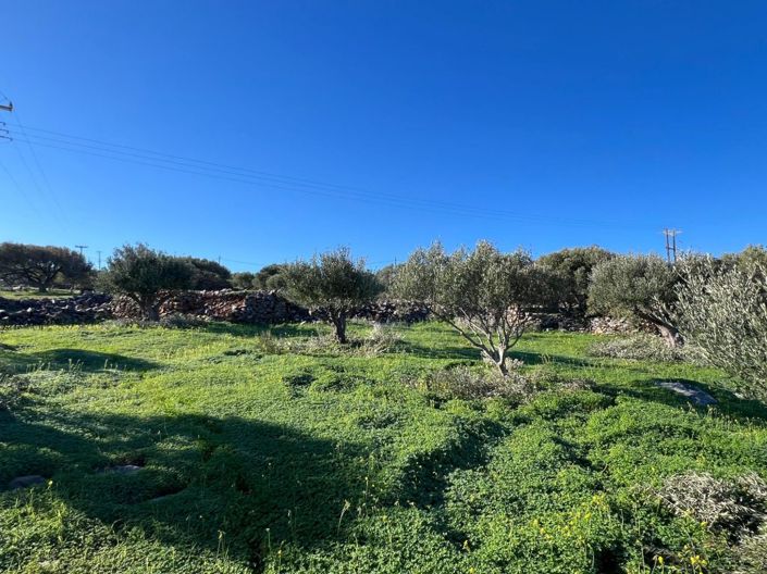 Image No.18-Plot for sale