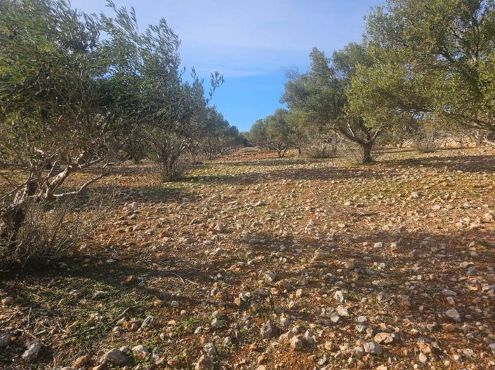 Image No.11-Terrain à vendre à Agios Nikolaos
