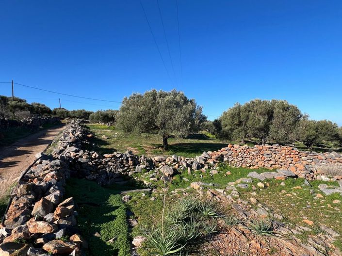 Image No.16-Plot for sale