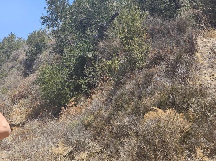 Image No.9-Plot for sale